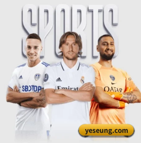 五大体育板块覆盖,从比分到直播全覆盖
